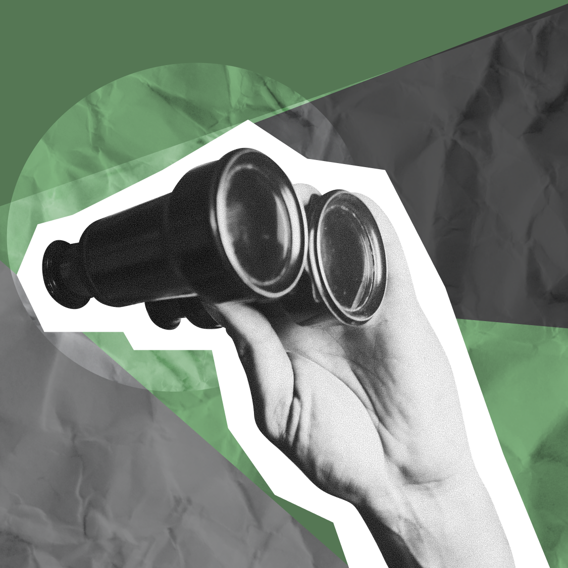 Types of Dividends and Shareholder Importance